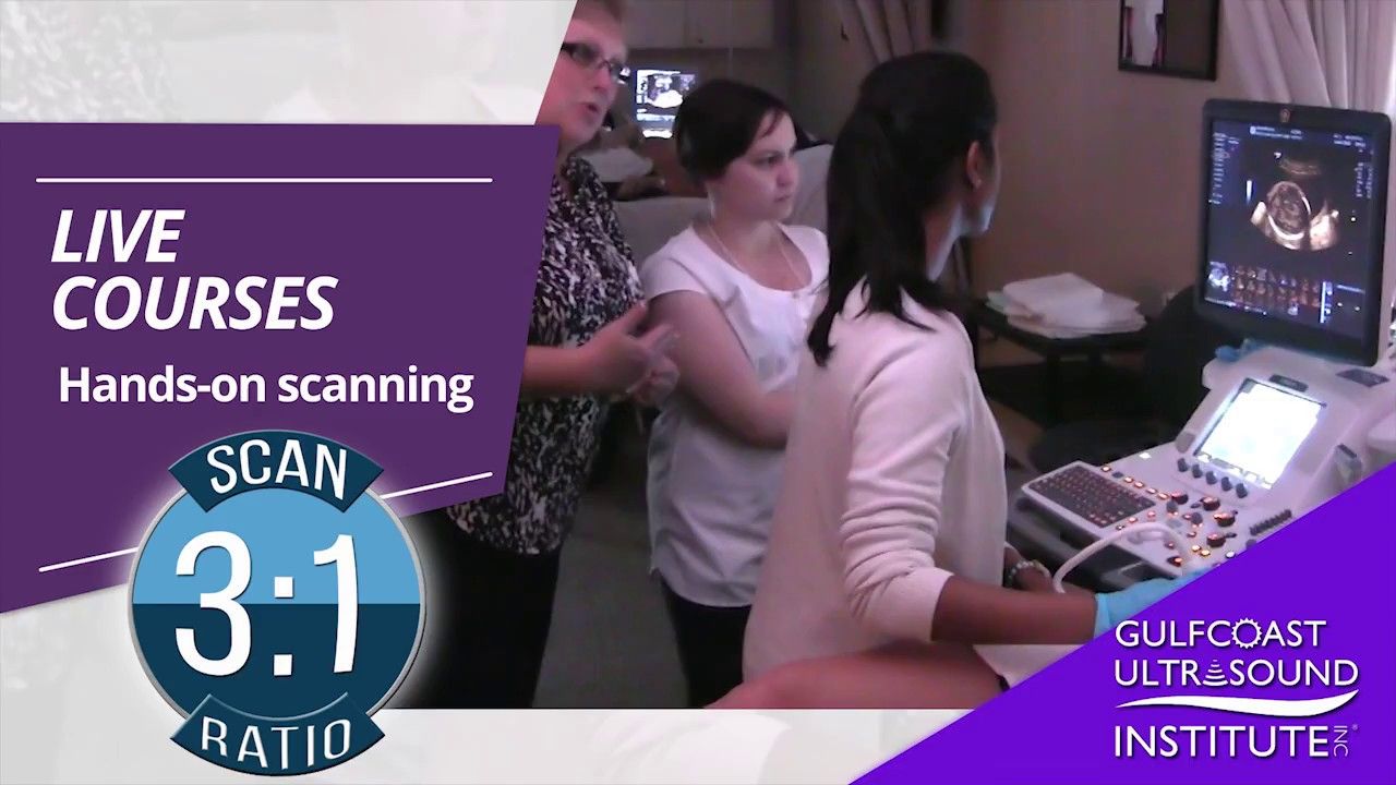 Hands On Ultrasound Courses